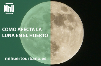 Es la luna llena