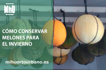Son melones de colores colgados en un pueblo