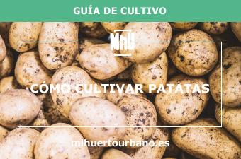 son patatas con tierra