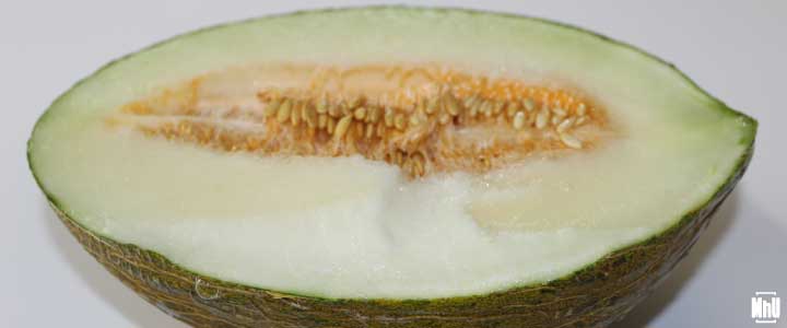 propiedades del melón