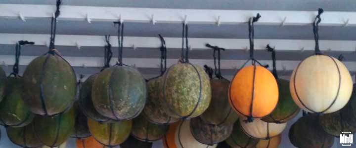melones cómo conservar melones hasta el invierno