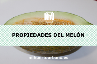 Es un melón