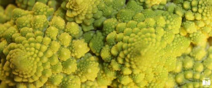 Propiedades del romanesco